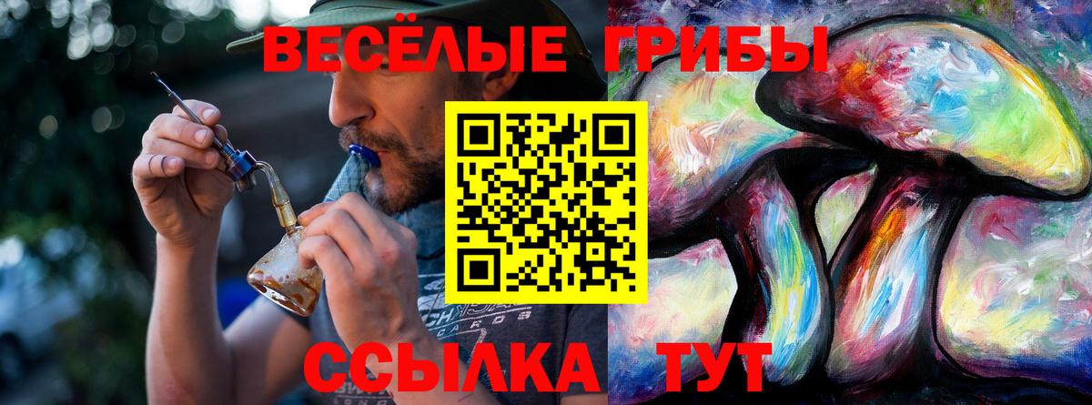Галлюциногенные грибы мухоморы Чехов
