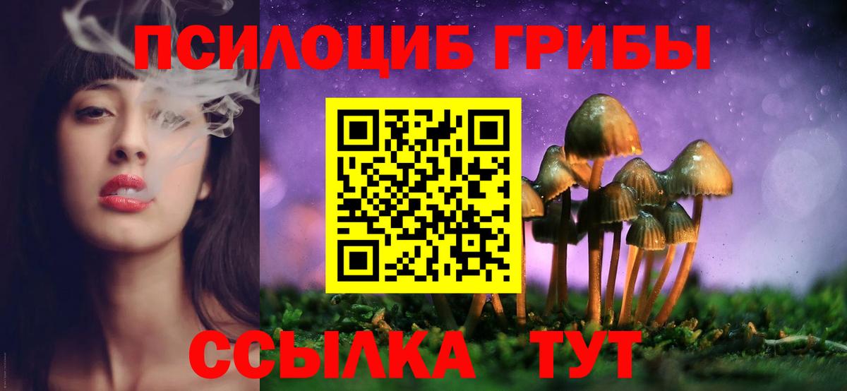 Чехов  Галлюциногенные грибы Psilocybe  Вход с VPN 